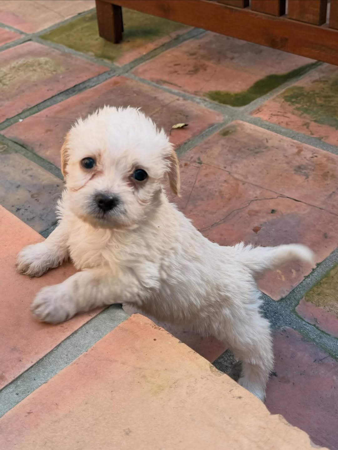 Gallery image 2 of Zoe