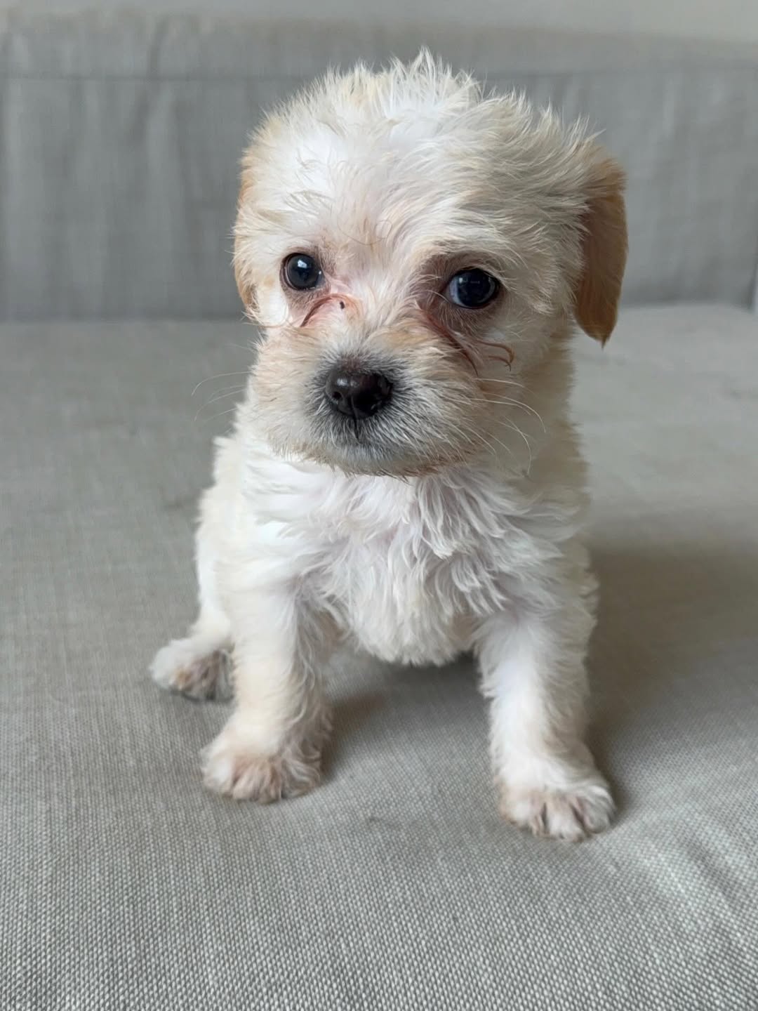 Gallery image 1 of Zoe