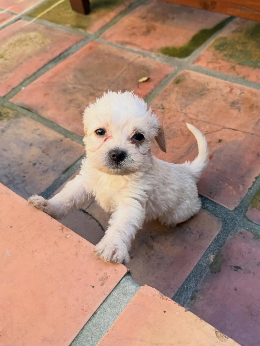 Gallery image 5 of Zoe