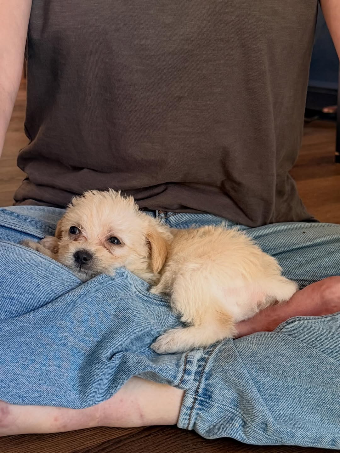 Gallery image 3 of Zoe