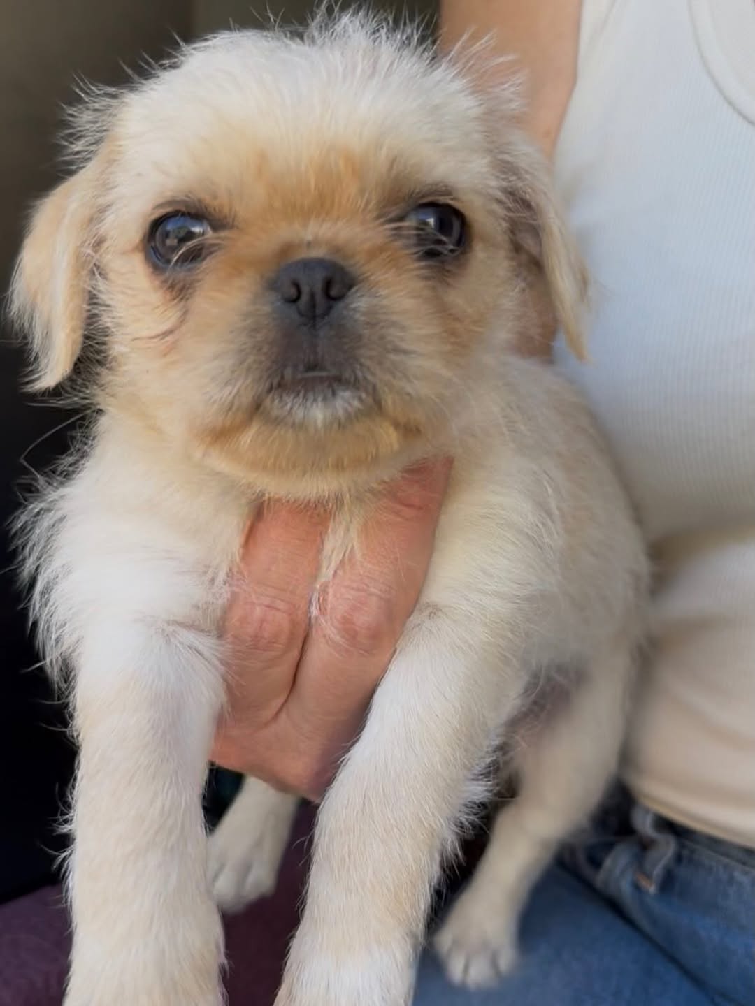 Gallery image 5 of Kelly