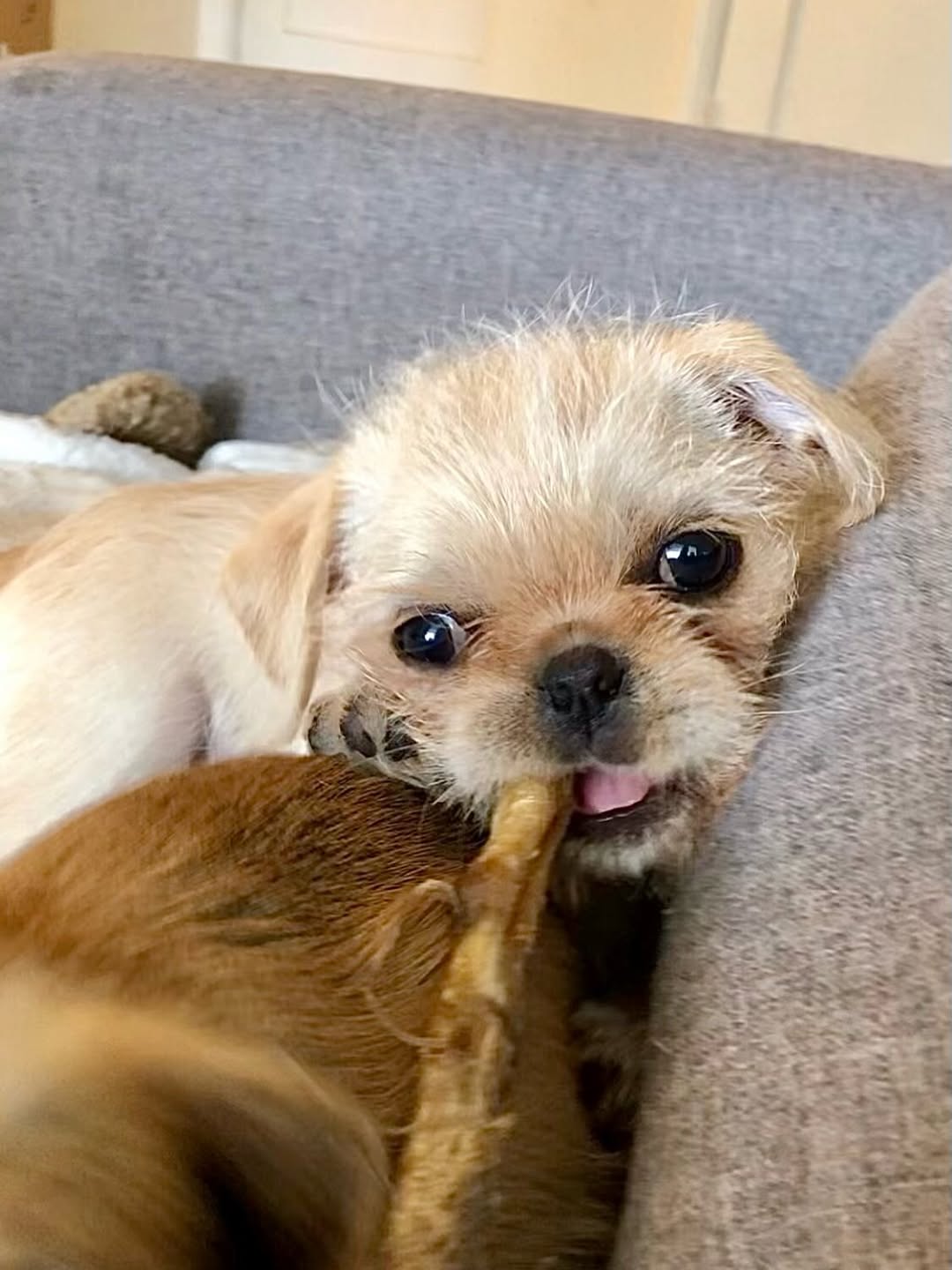 Gallery image 4 of Kelly