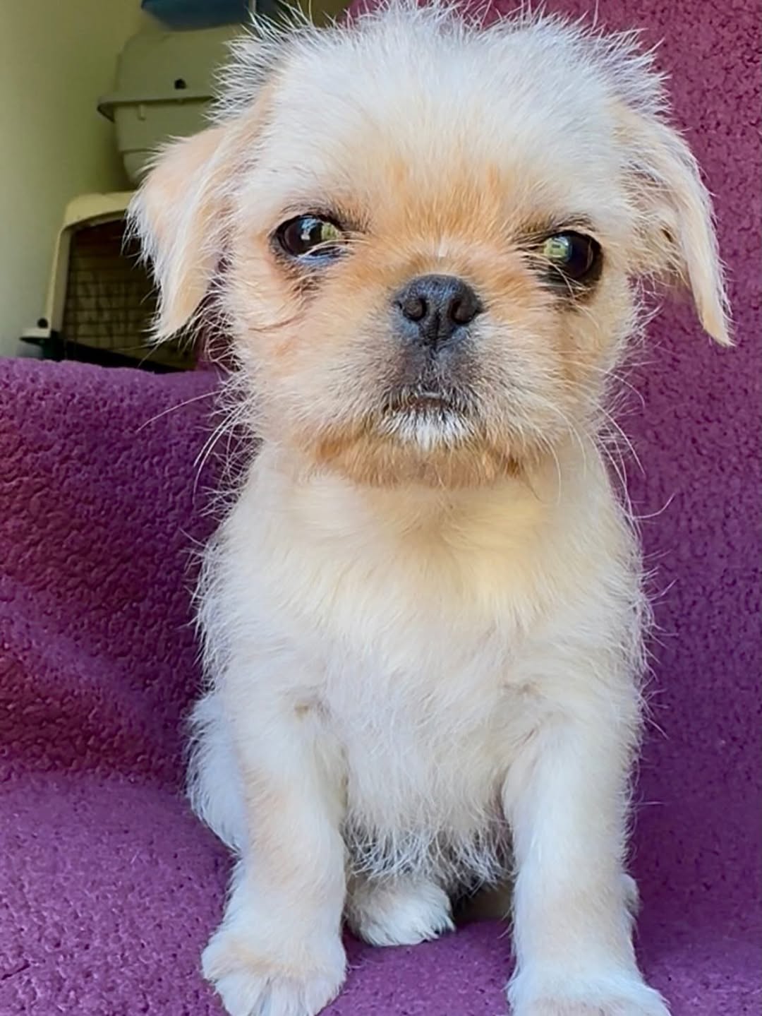 Gallery image 1 of Kelly